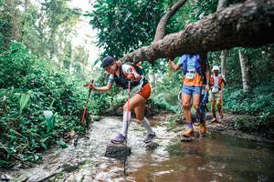 BIB: 
                            <button type="button" onclick="openModal(25369047)" class="btn btn-primary btn-sm float-right btn-popup" data-toggle="modal" data-target=".modal-high-quality">
                        <i class="fas fa-shopping-cart"></i> Add to Cart
                    </button>
                                            <button type="button" onclick="isThisMe(25369047, true)" class="btn btn-success btn-sm float-right btn-popup btn-isme hidden" data-toggle="tooltip" data-placement="bottom" title="นี่คือรูปของคุณใช่ไหม คลิกที่นี่เพื่อเอาเข้าอัลบั้ม">
                        <i class="fas fa-plus"></i> Add to album
                    </button>
                    <button type="button" onclick="isThisMe(25369047, false)" class="btn btn-warning btn-sm float-right btn-popup btn-isnotme hidden">
                        <i class="fas fa-ban"></i> Remove from album
                    </button>